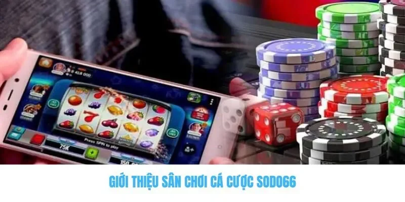 Giới thiệu sân chơi cá cược Sodo66