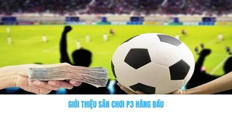 Giới thiệu sân chơi P3 hàng đầu