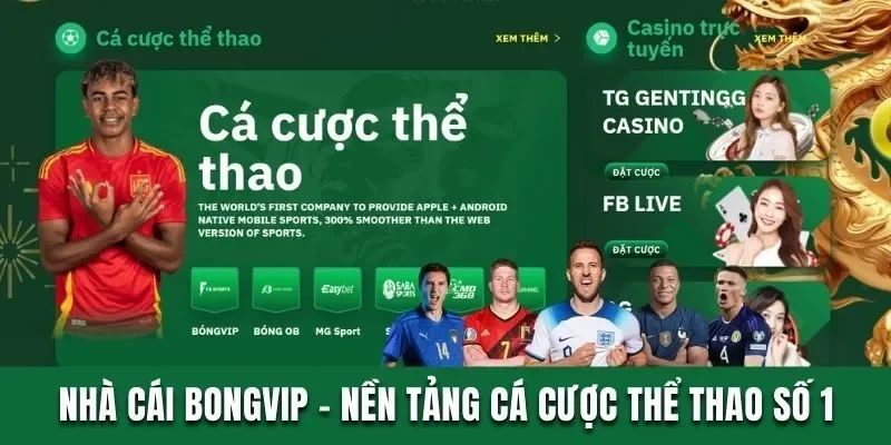 Nhà cái Bongvip - Nền tảng cá cược thể thao số 1 